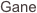 Gane